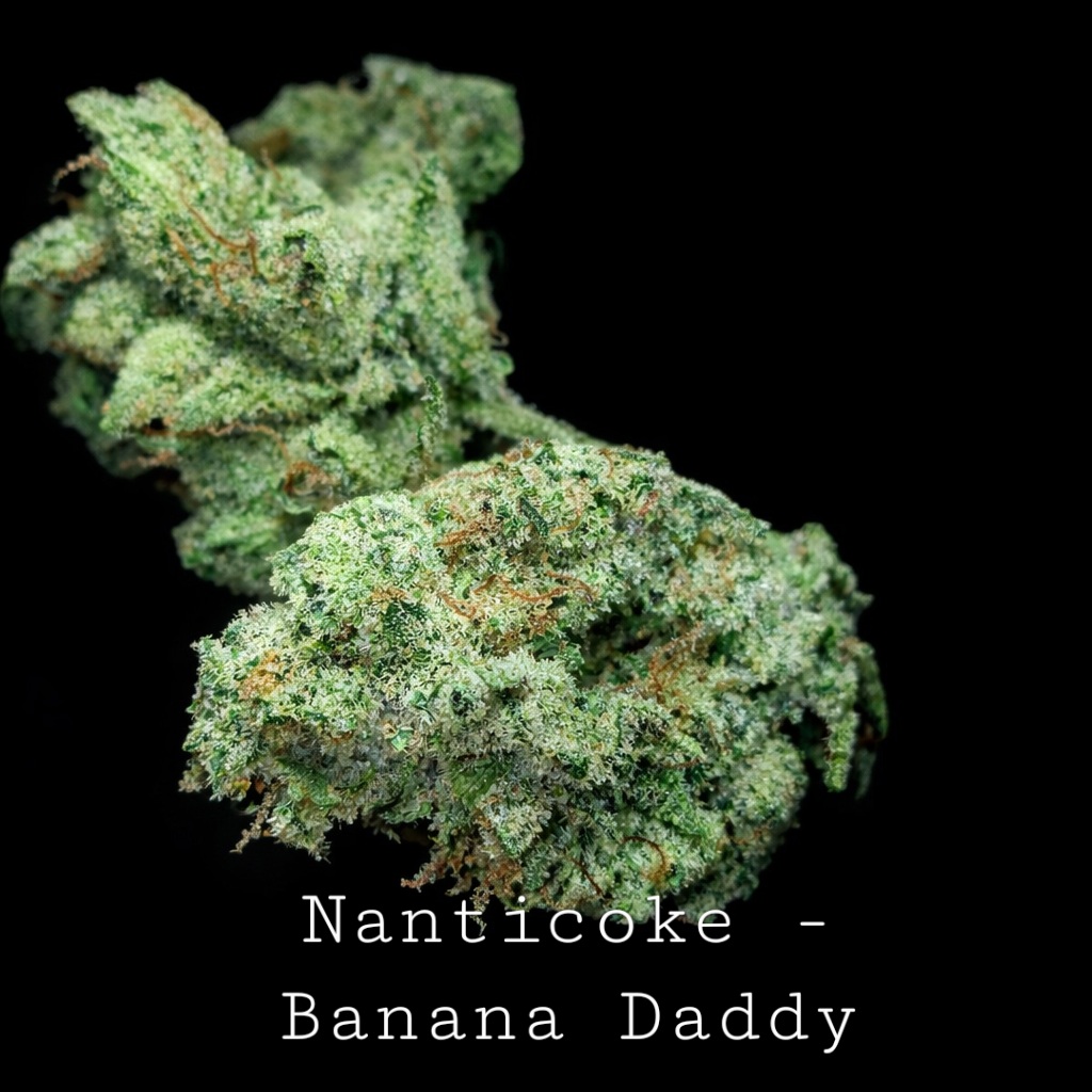 Nanticoke - Banana Daddy