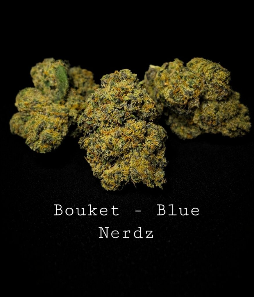 Bouket - Blue Nerdz