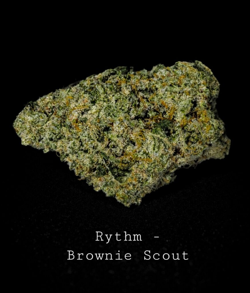 Rythm - Brownie Scout