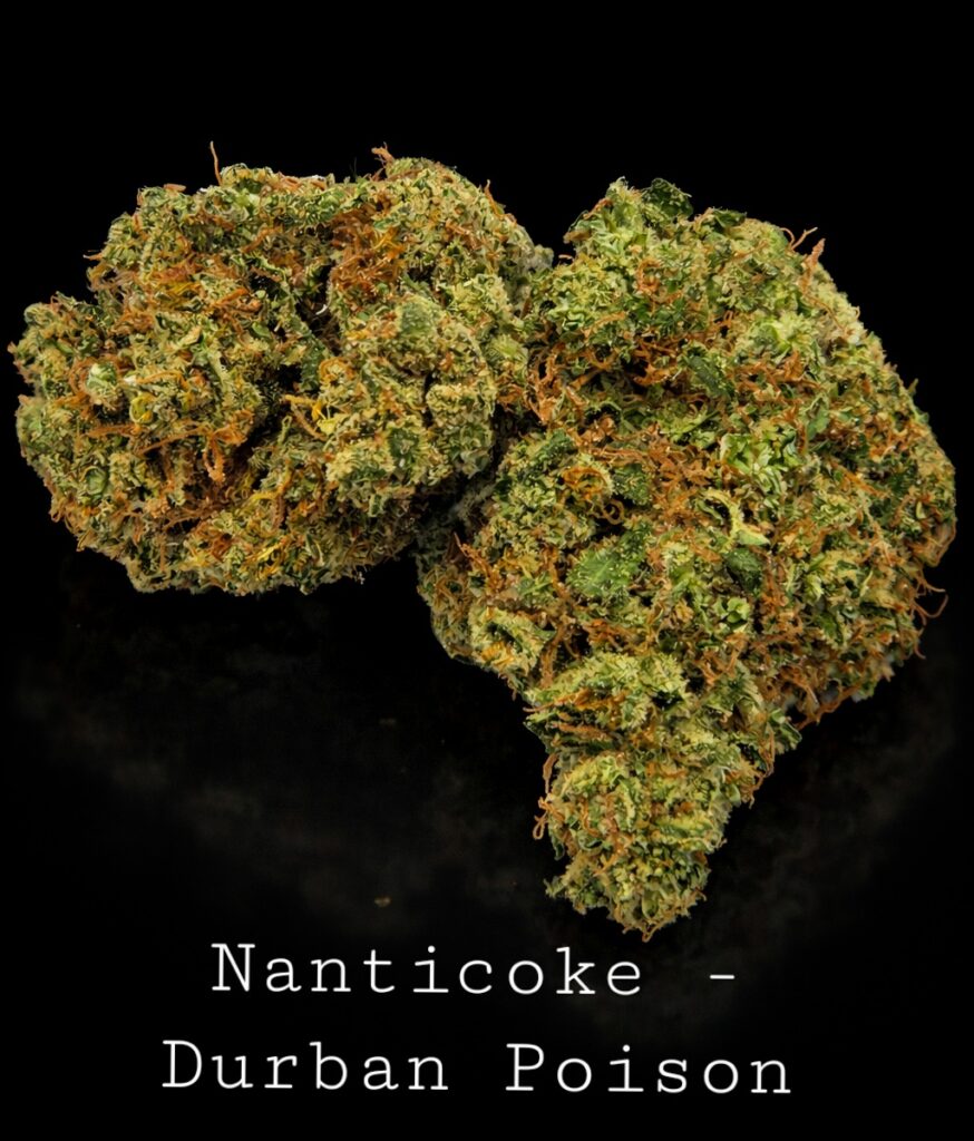 Nanticoke - Durban Poison