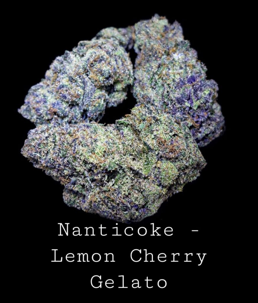 Nanticoke - Lemon Cherry Gelato