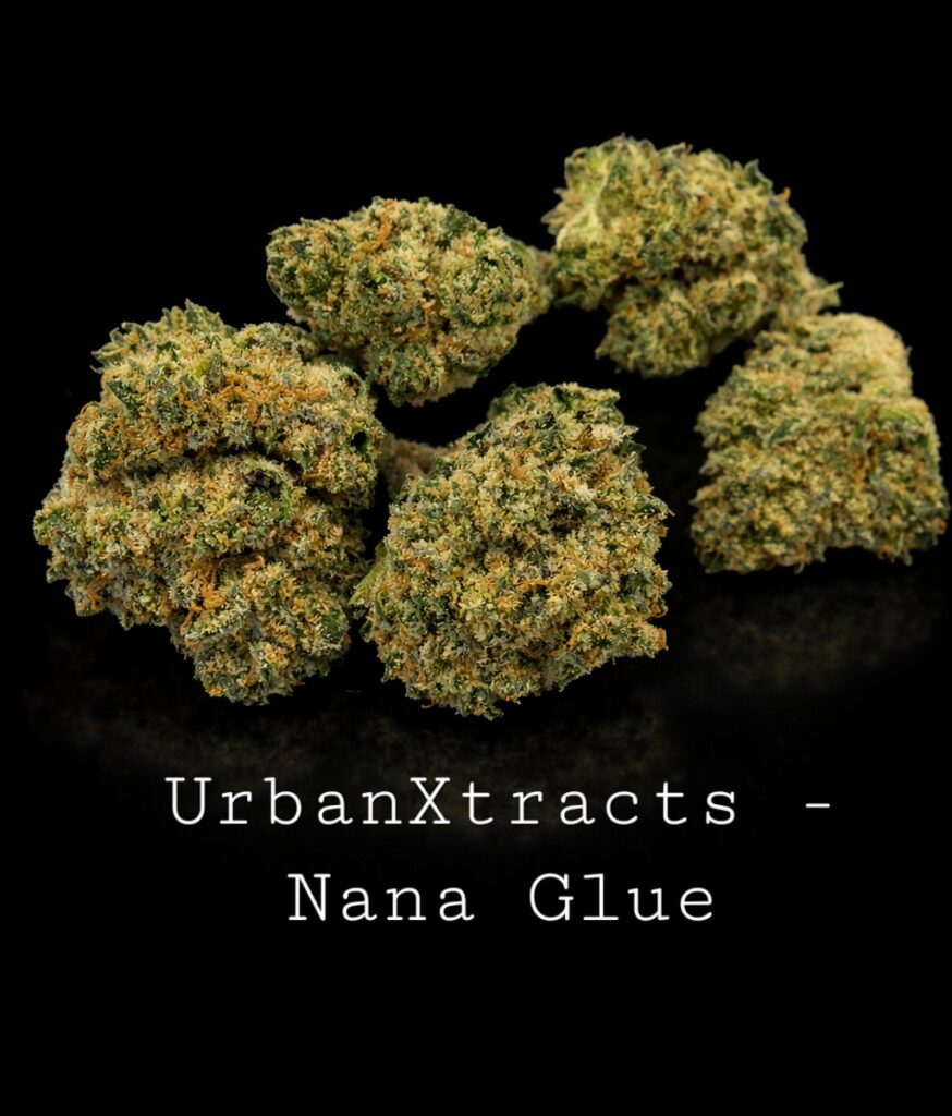 urbanXtracts - Nana Glue
