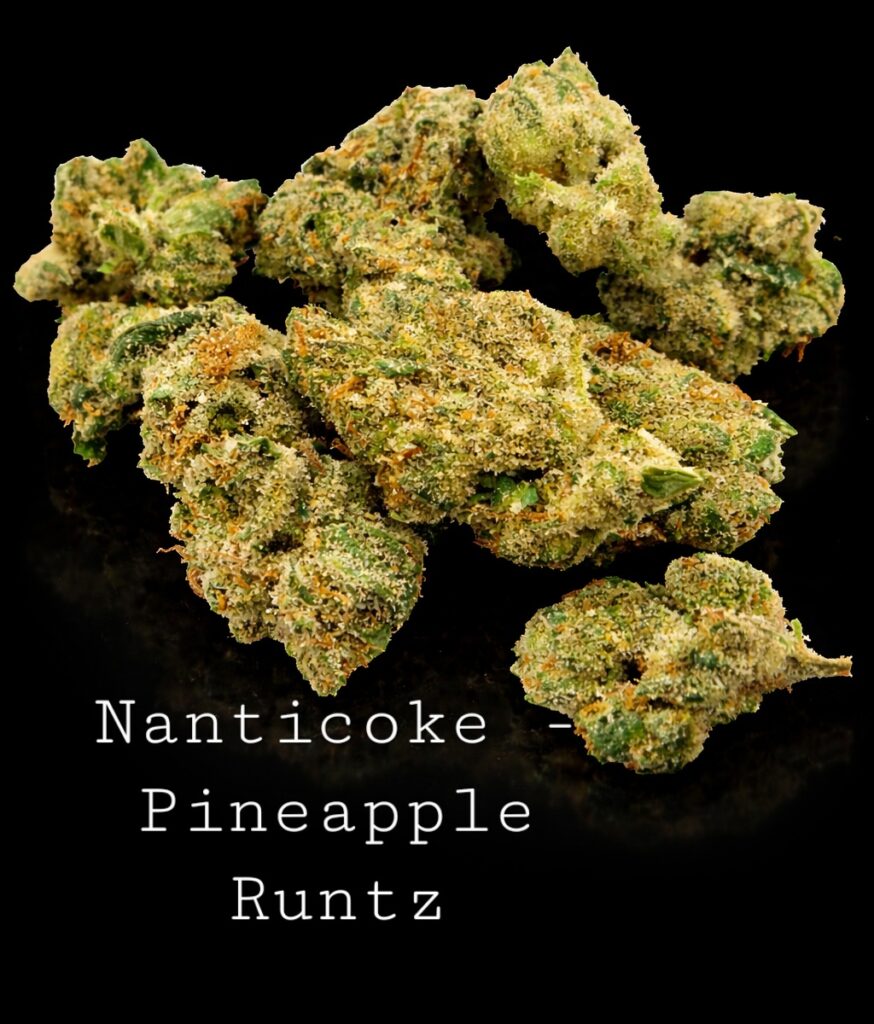 Nanticoke - Pineapple Runtz