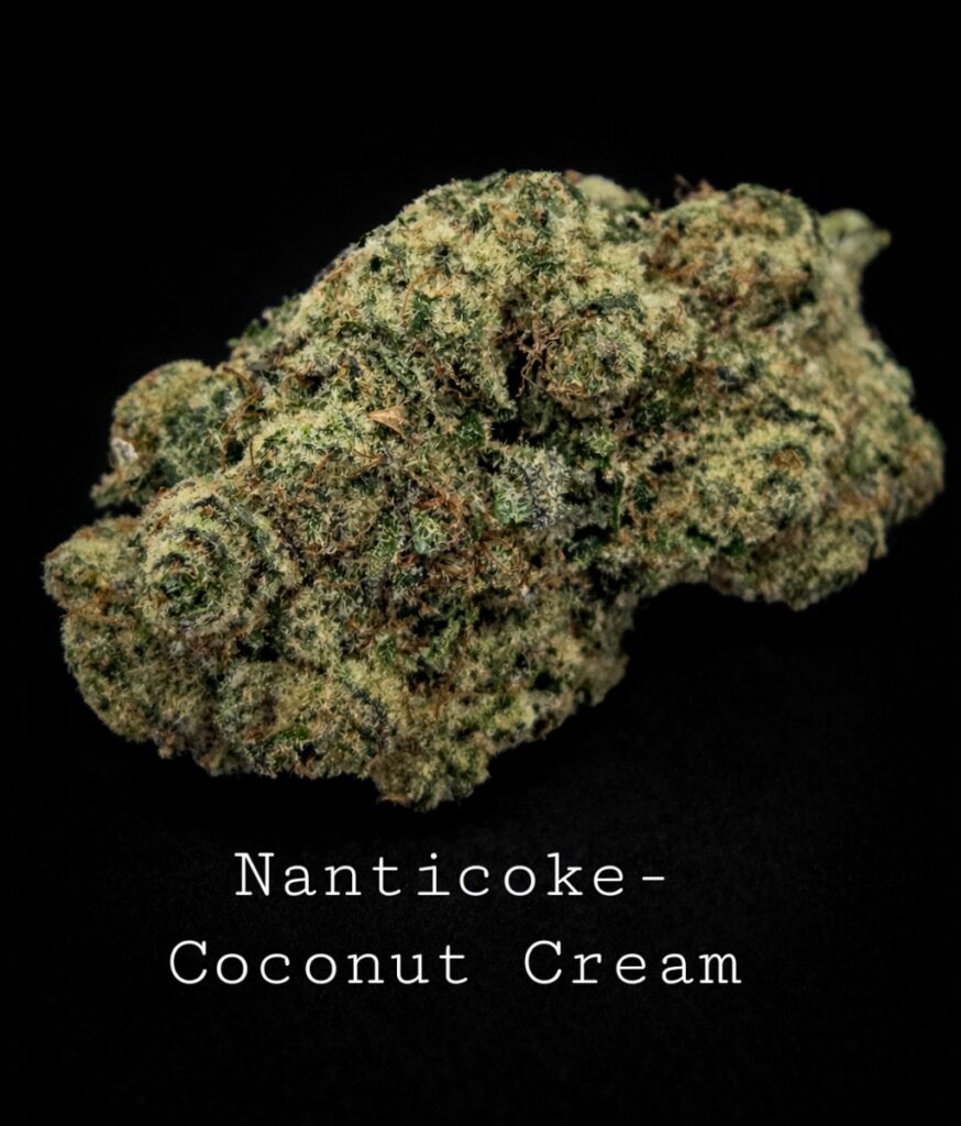 Coconut Cream by Nanticoke