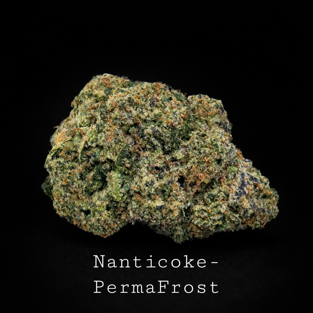 Permafrost by Nanticoke